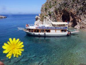 CMAS 1 YILDIZ TÜPLÜ DALIŞ EĞİTİMİ