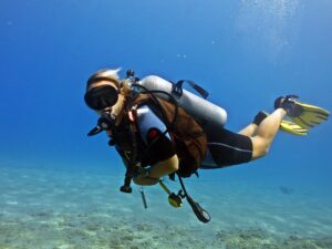 Padi Kurs Fiyatları