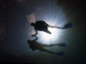 PADI Certificate